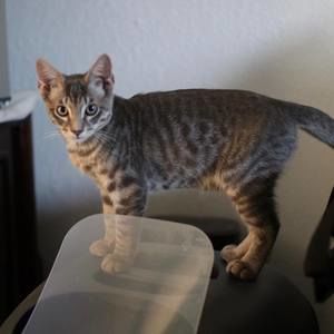 Meet your Posher, Miguel